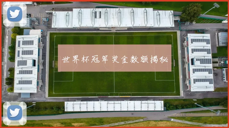 世界杯冠军奖金数额揭秘