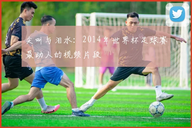 尖叫与泪水：2014年世界杯足球赛最动人的视频片段