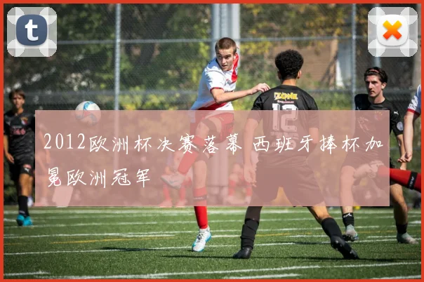 2012欧洲杯决赛落幕 西班牙捧杯加冕欧洲冠军